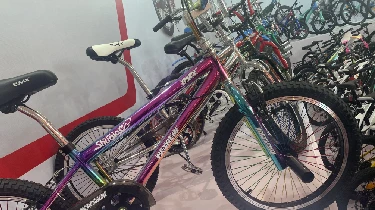 Read More About folding bmx