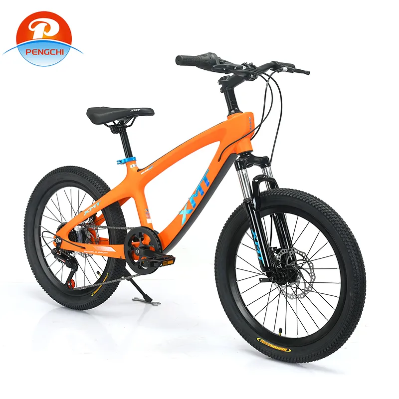 cheap bikes for students