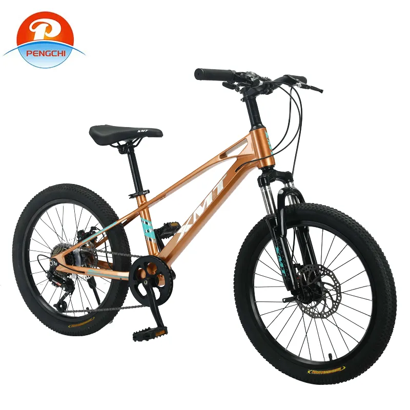 OEM Factory's 20 Inch 7-Speed Children's Mountain Bike Disc Brake For High-Quality Students Wholesale Price MTB Bike