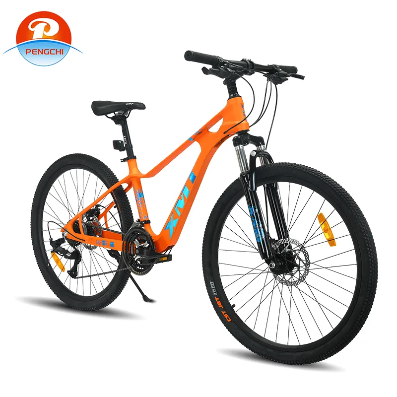 26 Inch 21 Speed Adult Male And Female Universal Magnesium Alloy Frame Biccletas Bike MTB City Road OEM Mountain Bike