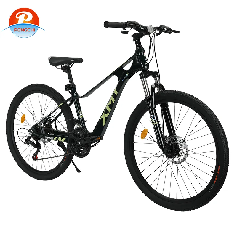 326 26 Inch 21 Speed Adult Male And Female Universal Magnesium Alloy Frame Biccletas Bike MTB City Road OEM Mountain Bike