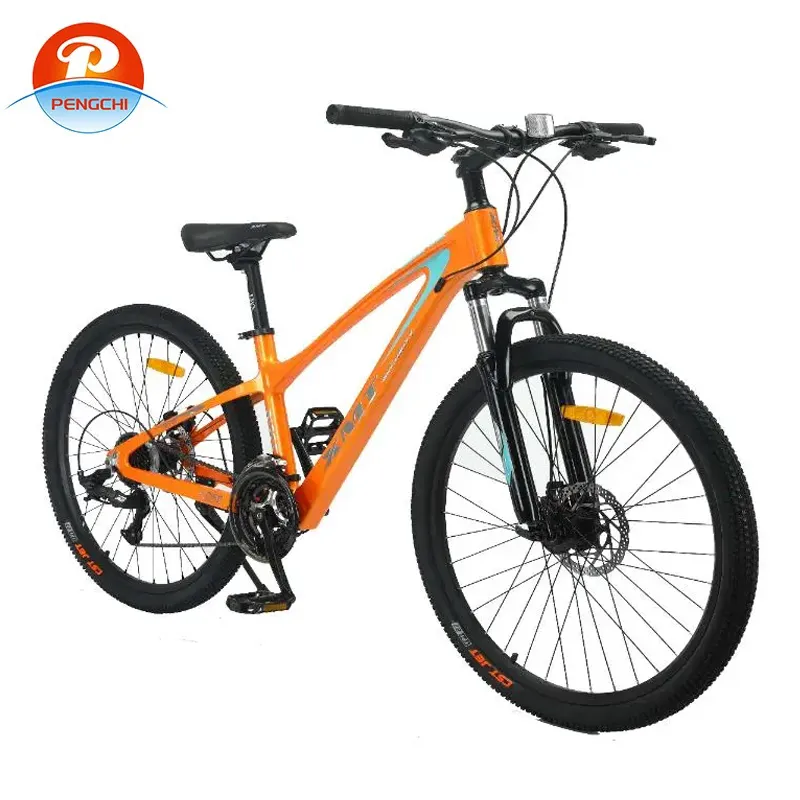 cheap bikes for students
