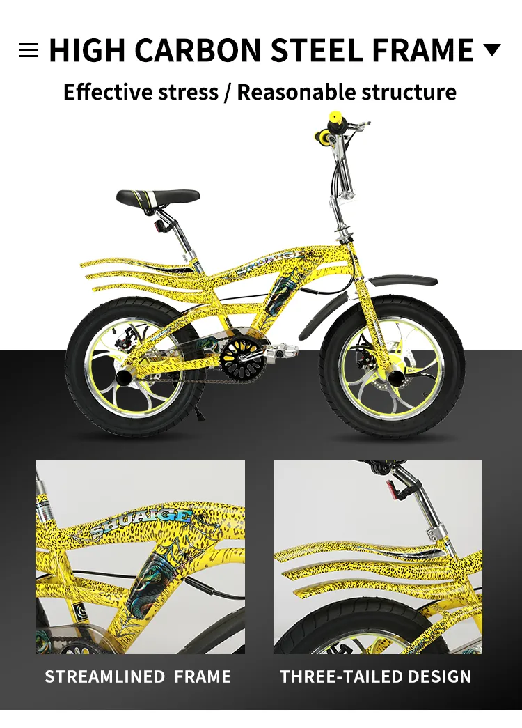 bike for students