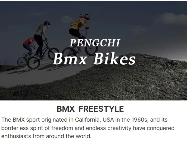 Factory Sells 3.0 Fat Tires, 20 Inch Single Speed Bmx Bicycle, Boy's Favorite Mini Bmx Bike, Free Bmx Bicycle Oem Service Factory Sells 3.0 Fat Tires, 20 Inch Single Speed Bmx Bicycle, Boy's Favorite Mini Bmx Bike, Free Bmx Bicycle Oem Service