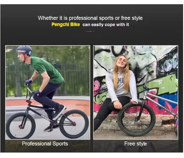 mountain bike folding bicycle
