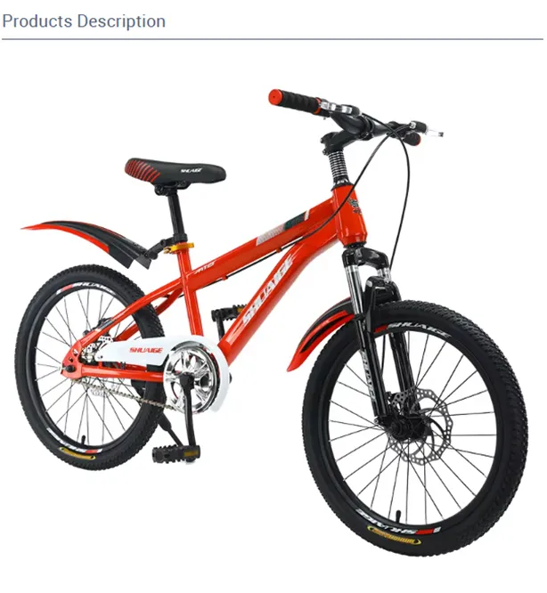 single speed commuter bike
