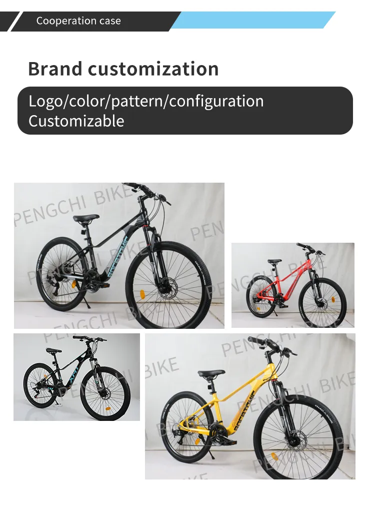 21 bmx bike 21 bmx bike