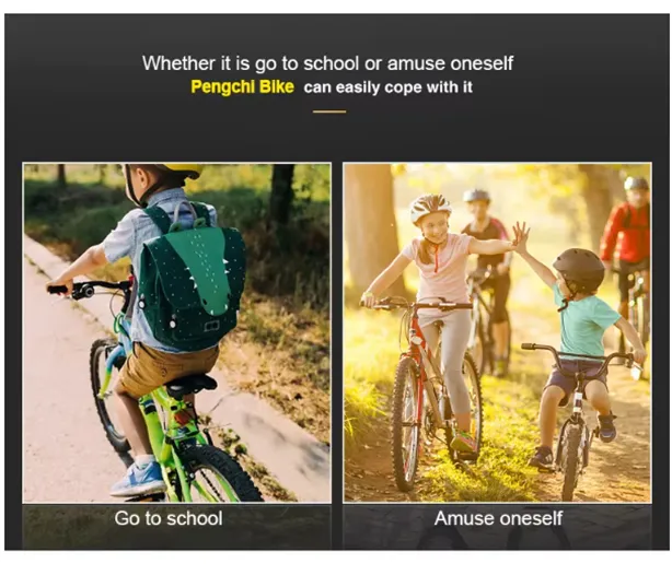 different mountain bike styles