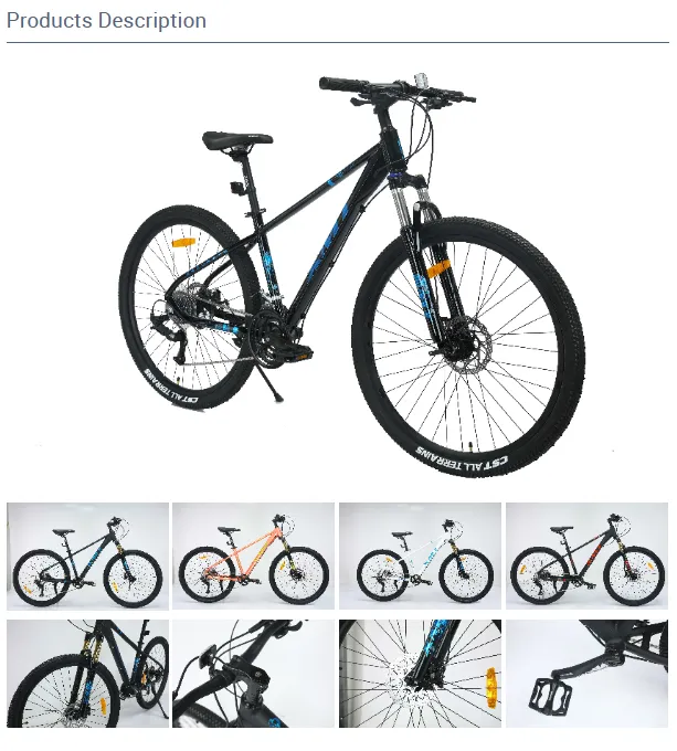 road bike factory