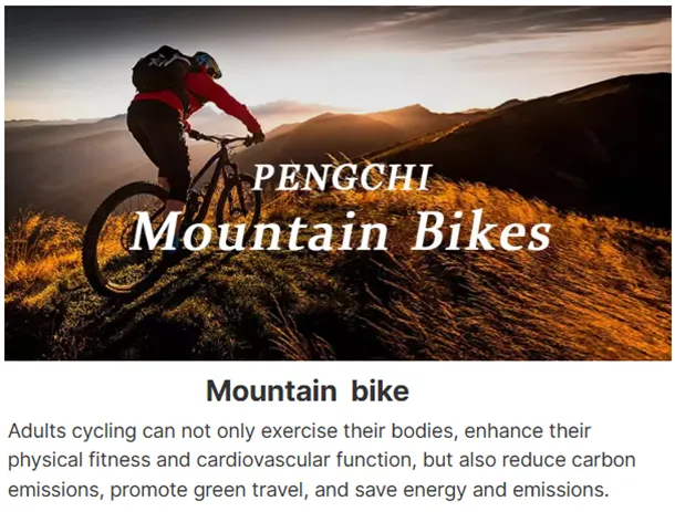 compact folding bike