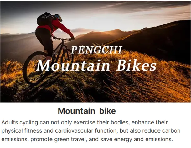 bicycle parts wholesale distributors