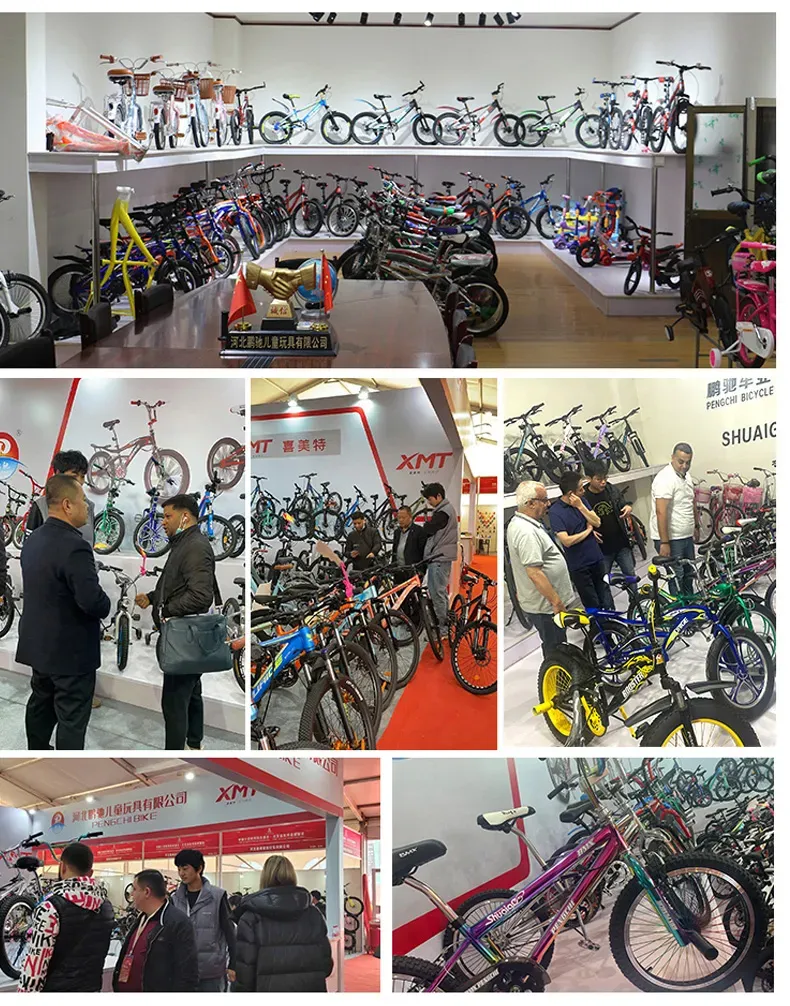 how to pick out a bicycle