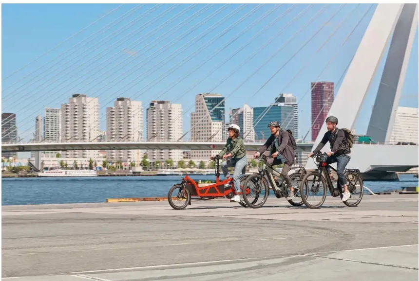 lightweight foldable bike