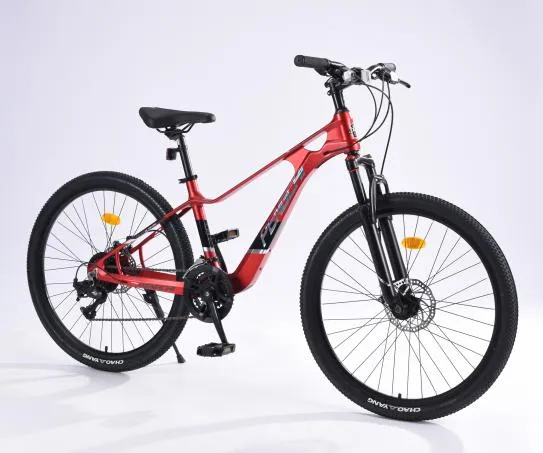 beginner road bike